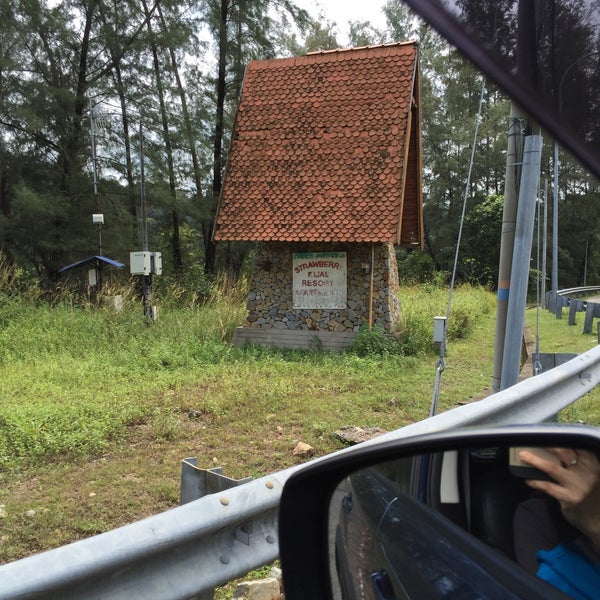 Балкон чебоксары кафе. Эко парк земляничный гремячки. Эко парк земляничный гремячки. Эко парк земляничный гремячки. Эко парк земляничный гремячки.