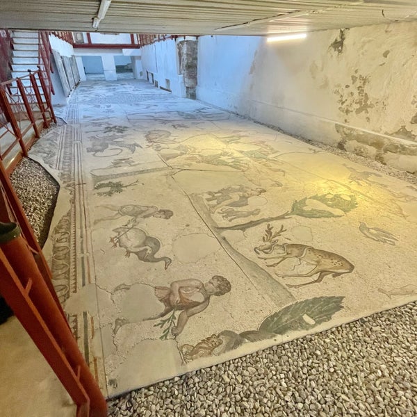 Foto tirada no(a) Büyük Saray Mozaikleri Müzesi por Pavel V. em 1/4/2022