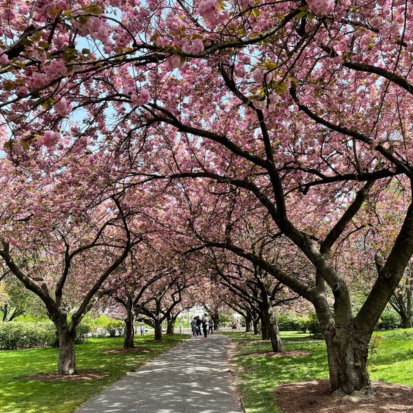 Снимок сделан в Brooklyn Botanic Garden пользователем Andre W. 4/28/2021