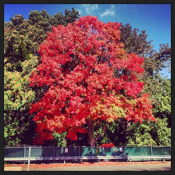 Photos at Westport Town Transfer Station Recycling Facility