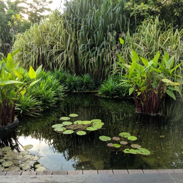 Wong Ah Yoke, food critic, feels this is one of the most overlooked restaurant in Singapore. Lovely restaurant set amidst a landscaped garden, with a view of a pond & herb garden. Source: Sunday Times