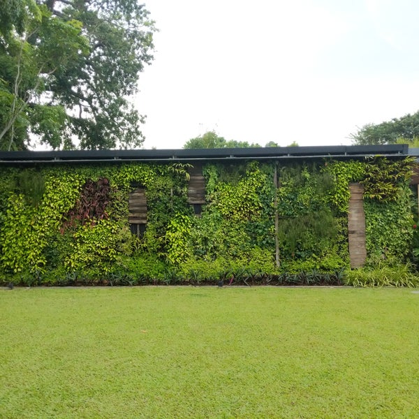 Маранта фитостена. Зеленая стена. Green gallery. Архитектура лондона фасады. Green gallery.