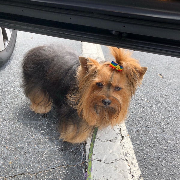 PetSmart Southeast Jacksonville 8801 Southside Blvd