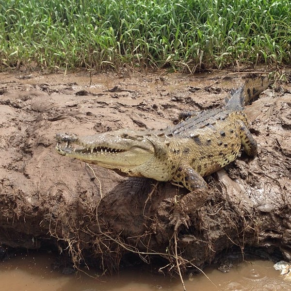 Photo taken at Jungle Crocodile Safari by Kenneth R. on 10/19/2013