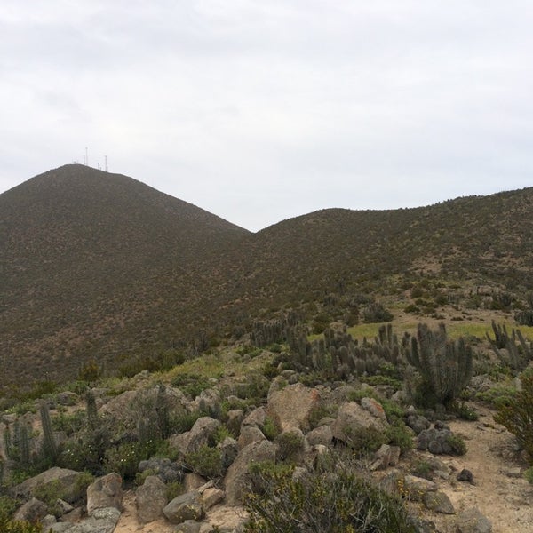 Photo taken at Cerro Grande, La Serena by Tomàs P. on 11/2/2014