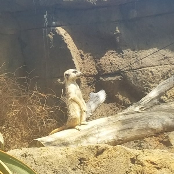 Foto diambil di Auckland Zoo oleh Peggy C. pada 1/3/2018