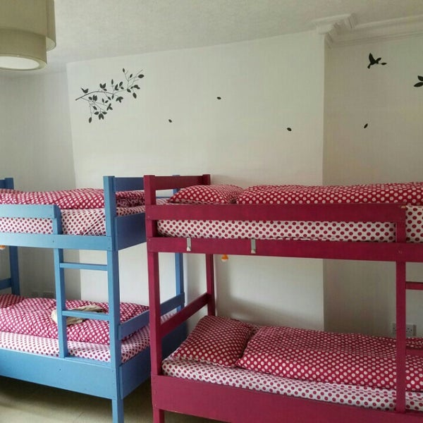 псков, ул. оранж хостел. отель 36 воронеж. Camberage dormitory study. рокоссовского 36 псков.