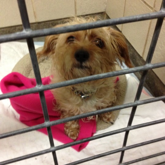 Photos at Kitsap Humane Society Pet Supplies Store in Silverdale