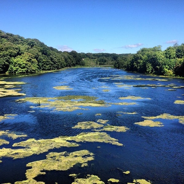 Bosherston Lily Ponds 2 tips from 57 visitors