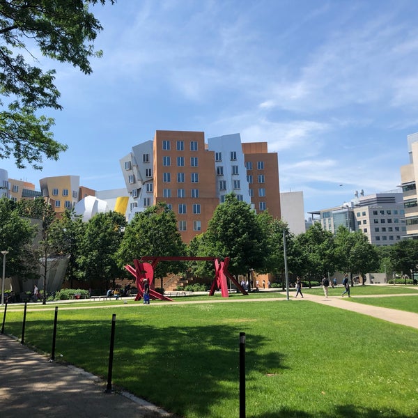 T university