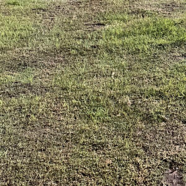 Craig Ranch Soccer Field 5 tips