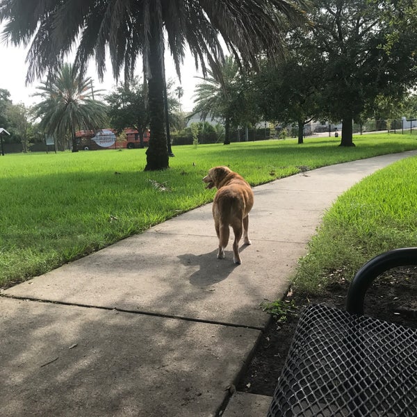 Springfield Confederate Dog Park Springfield 949 Hubbard St