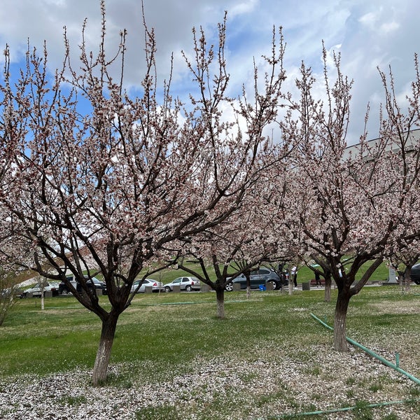 Das Foto wurde bei EL GARDEN von Dmitry S. am 4/9/2022 aufgenommen