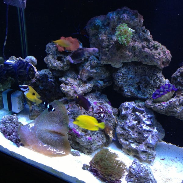 Aquarium Depot 1 tip from 34 visitors