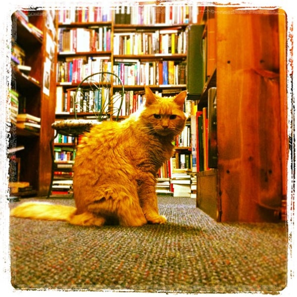 Commonwealth Books Used Bookstore in Boston