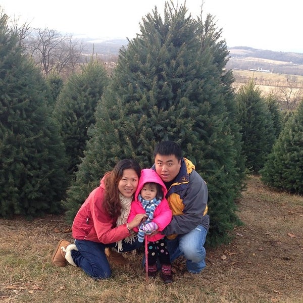 Foto tomada en Wyckoff&#39;s Christmas Tree Farm  por Tung-To L. el 11/30/2013