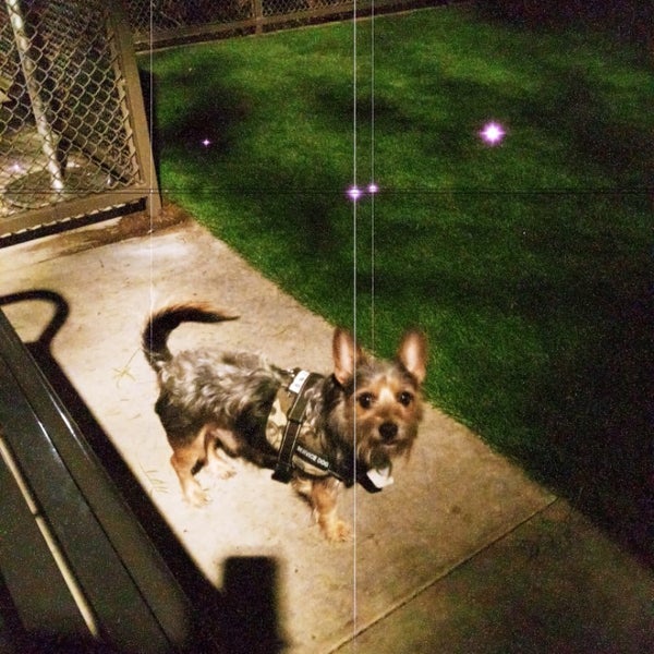 Mini Dog Park Portola Springs Irvine, CA