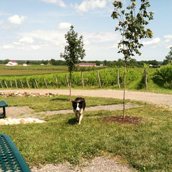 7/21/2013에 Michelle B.님이 Arrowhead Spring Vineyards에서 찍은 사진