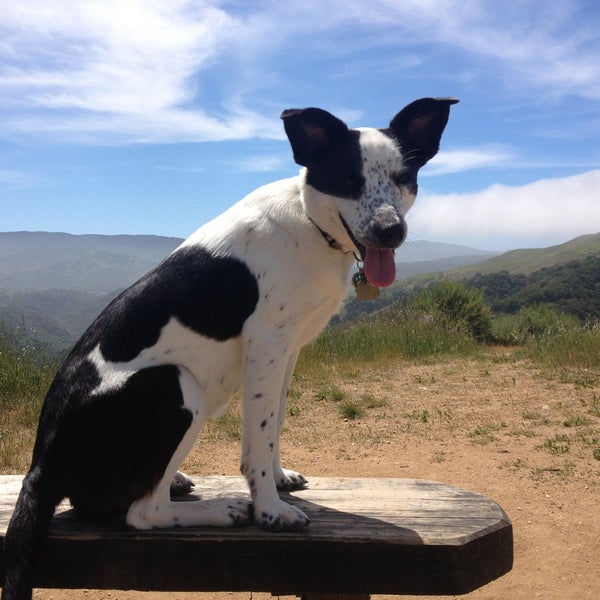 Snively's Ridge - Carmel Valley, CA