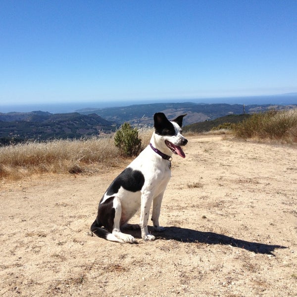 Snively's Ridge - Carmel Valley, CA