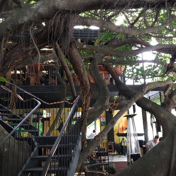 Photo taken at Tree House Restaurante &amp; Cafe by Jeffrey d. on 8/12/2019