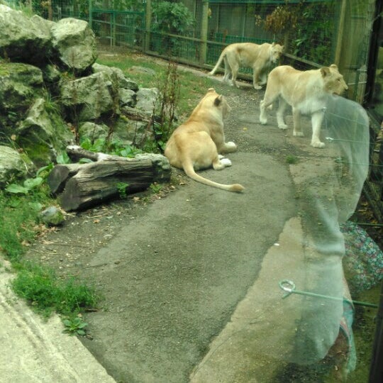 Das Foto wurde bei Hertfordshire Zoo von Roberts A. am 9/4/2016 aufgenommen