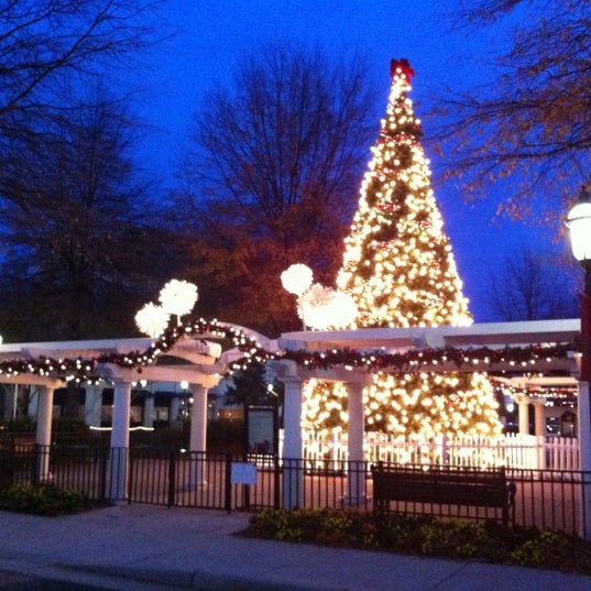 Birkdale Christmas Tree Lighting 2022 Photos At Birkdale Village - 29 Tips