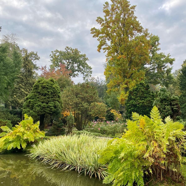 Photo taken at Trompenburg Tuinen &amp; Arboretum by Maarten d. on 10/18/2020