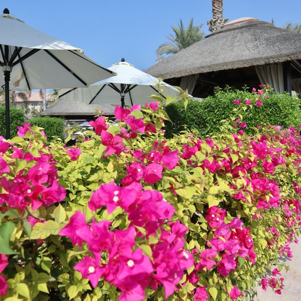 Das Foto wurde bei Sofitel Dubai The Palm Resort &amp; Spa von Maarten d. am 10/16/2023 aufgenommen
