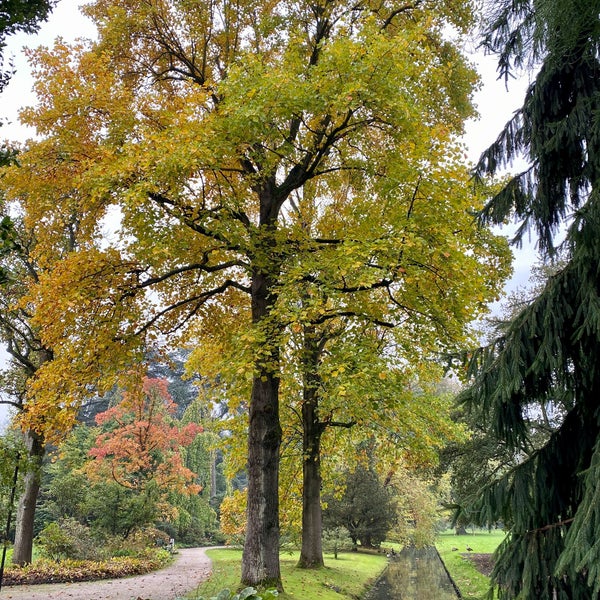 Photo taken at Trompenburg Tuinen &amp; Arboretum by Maarten d. on 10/18/2020