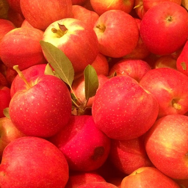 Photo prise au Wilson&#39;s Apple Orchard par Dana M. le9/1/2014