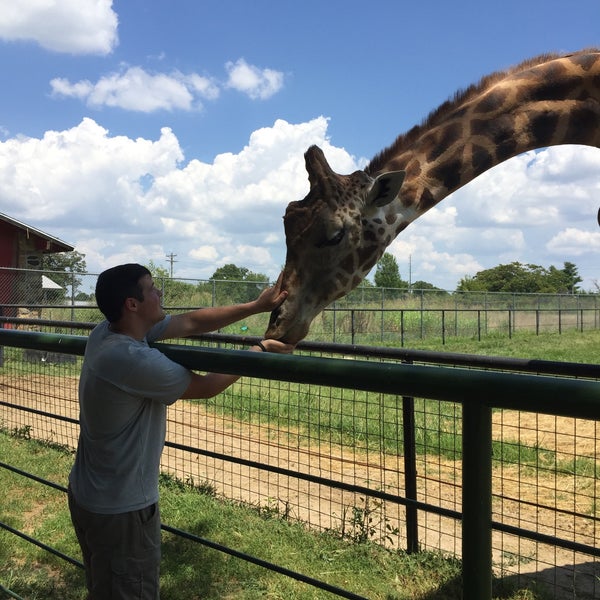 Wild Animal Safari - 8 tips from 404 visitors