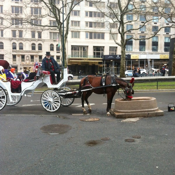 1/12/2013 tarihinde Lori L.ziyaretçi tarafından Central Park Carriage Horse...