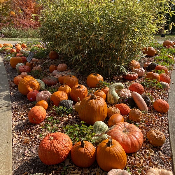 รูปภาพถ่ายที่ Indianapolis Museum of Art (IMA) โดย Kim R. เมื่อ 10/21/2022