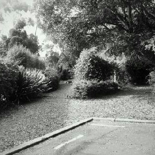 3/30/2013 tarihinde Hauiti H.ziyaretçi tarafından Dunedin Botanic Garden'de çekilen fotoğraf