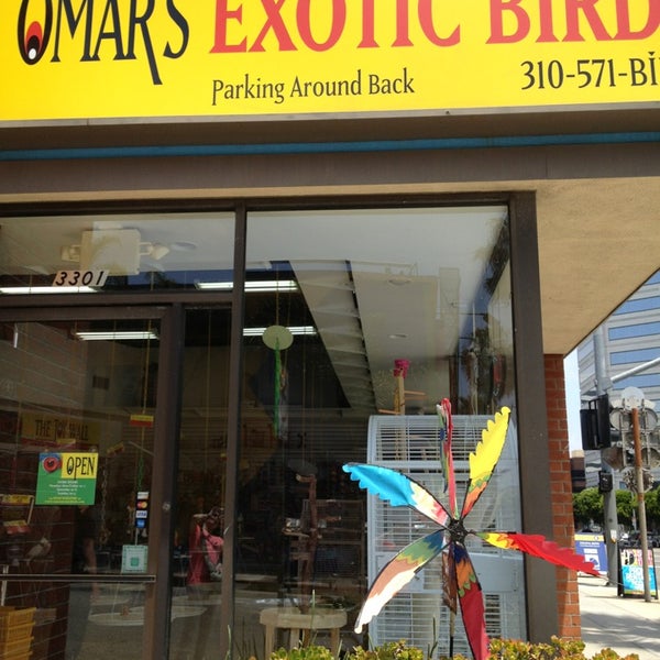 Photos at Omar s Exotic Birds Pet Supplies Store in Santa Monica
