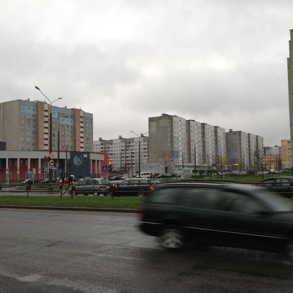 Шабаны малиновка. Шабаны малиновка