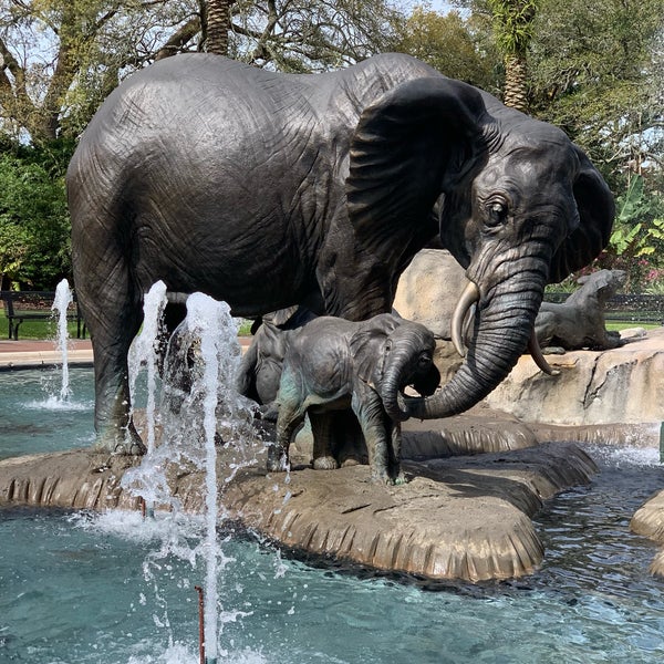 Photo taken at Audubon Zoo by Stacy H. on 3/17/2019