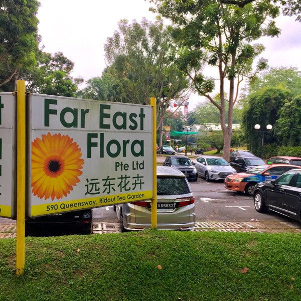 Far East Flora @ Queensway -Plant Boutiques Singapore