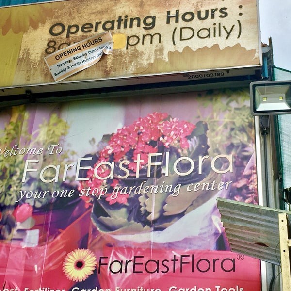 Far East Flora Flower Store in Singapore