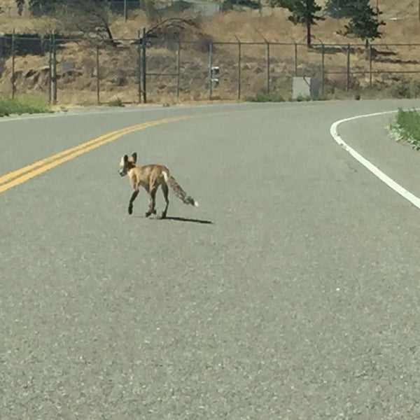 Sandia National Laboratories Livermore, CA