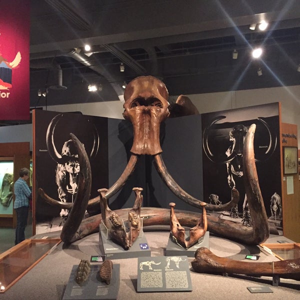 9/22/2016にDavide B.がUniversity of Alaska Museum of the Northで撮った写真