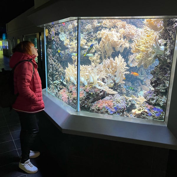 Photo taken at Aquarium Berlin by Anzhela S. on 4/5/2022