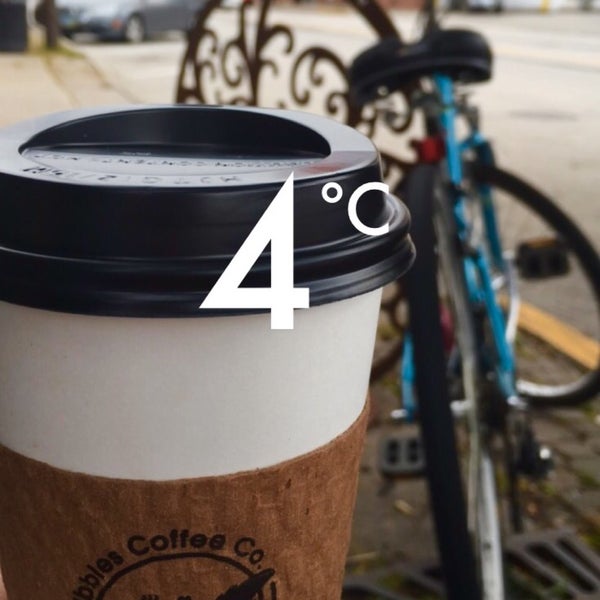 Scribbles Coffee Co. Kent, OH