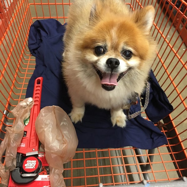 Photos at The Home Depot Germantown, MD