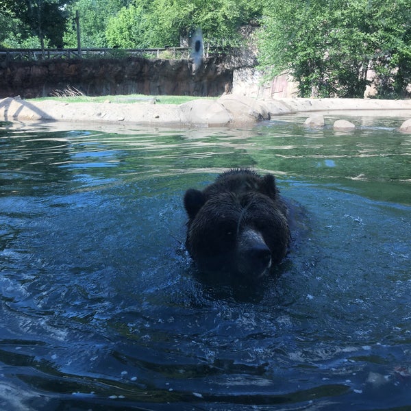 Photo taken at Memphis Zoo by Chris W. on 7/7/2021
