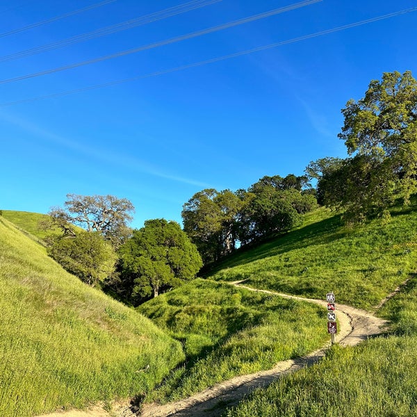 Holdener Park Livermore, CA