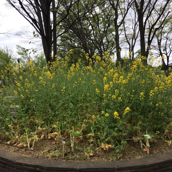 大泉交通公園 3 Dicas 大泉交通公園 3 Dicas