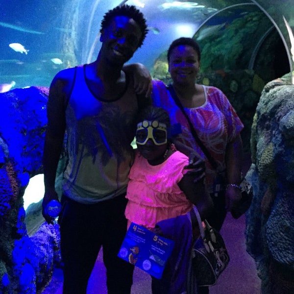Photo taken at SEA LIFE Charlotte-Concord Aquarium by H.A.S B. on 9/20/2014