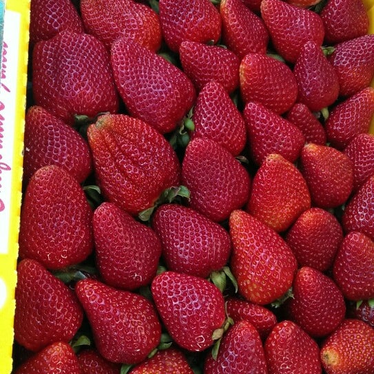 Okui Strawberry Stand Grover Beach, CA